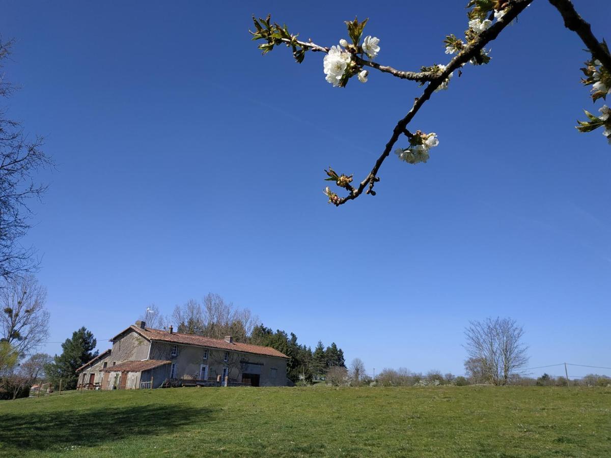 Maison Au Calme Avec Vue Etang Clesse  Dış mekan fotoğraf