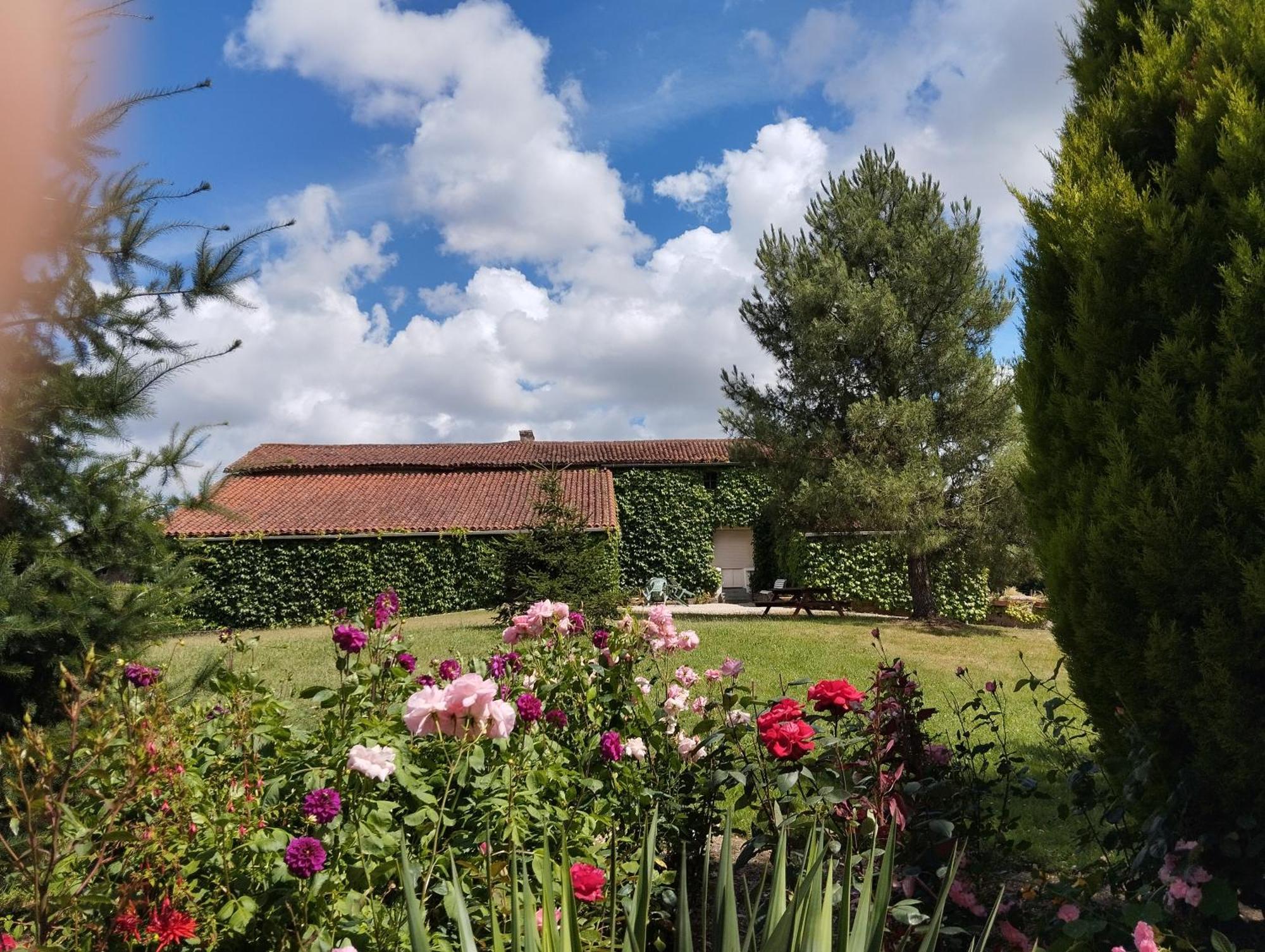 Maison Au Calme Avec Vue Etang Clesse  Dış mekan fotoğraf