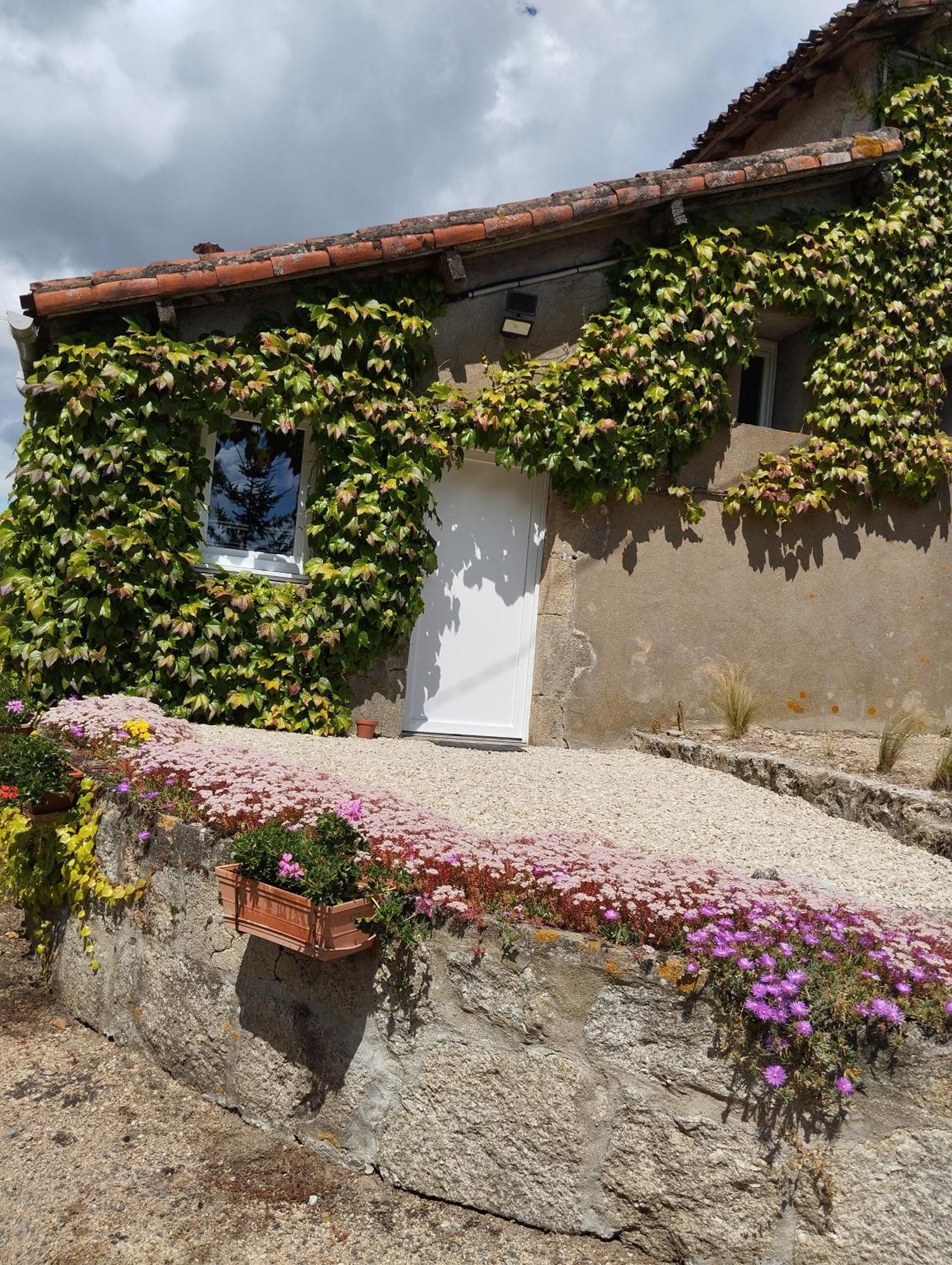 Maison Au Calme Avec Vue Etang Clesse  Dış mekan fotoğraf