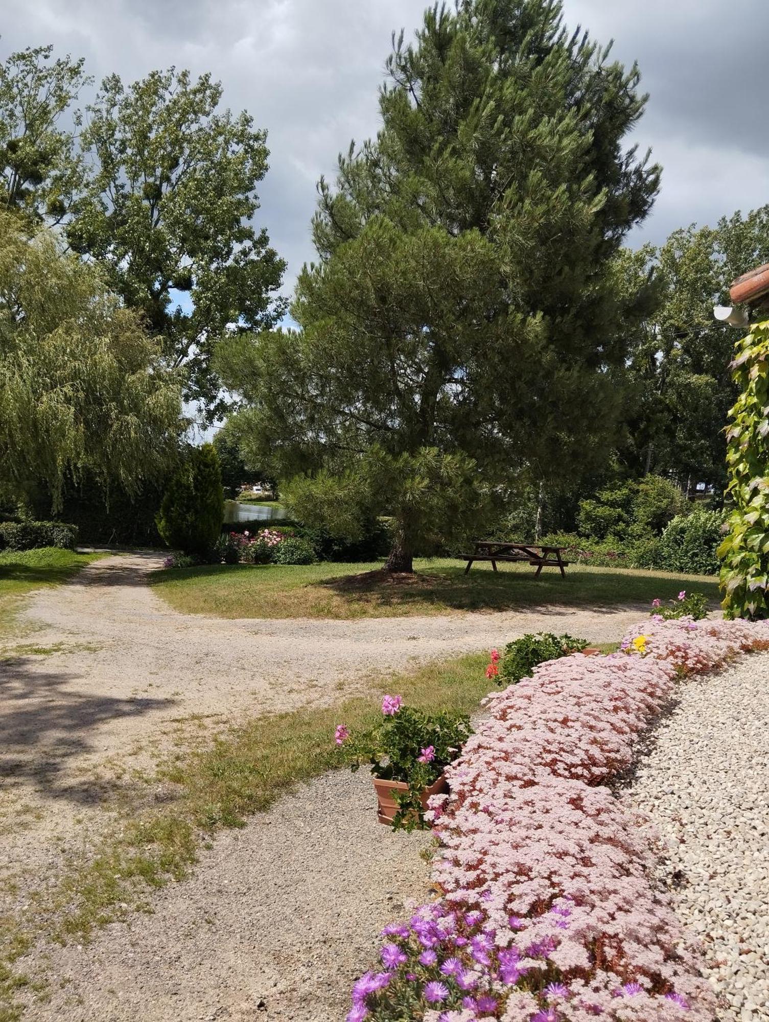 Maison Au Calme Avec Vue Etang Clesse  Dış mekan fotoğraf